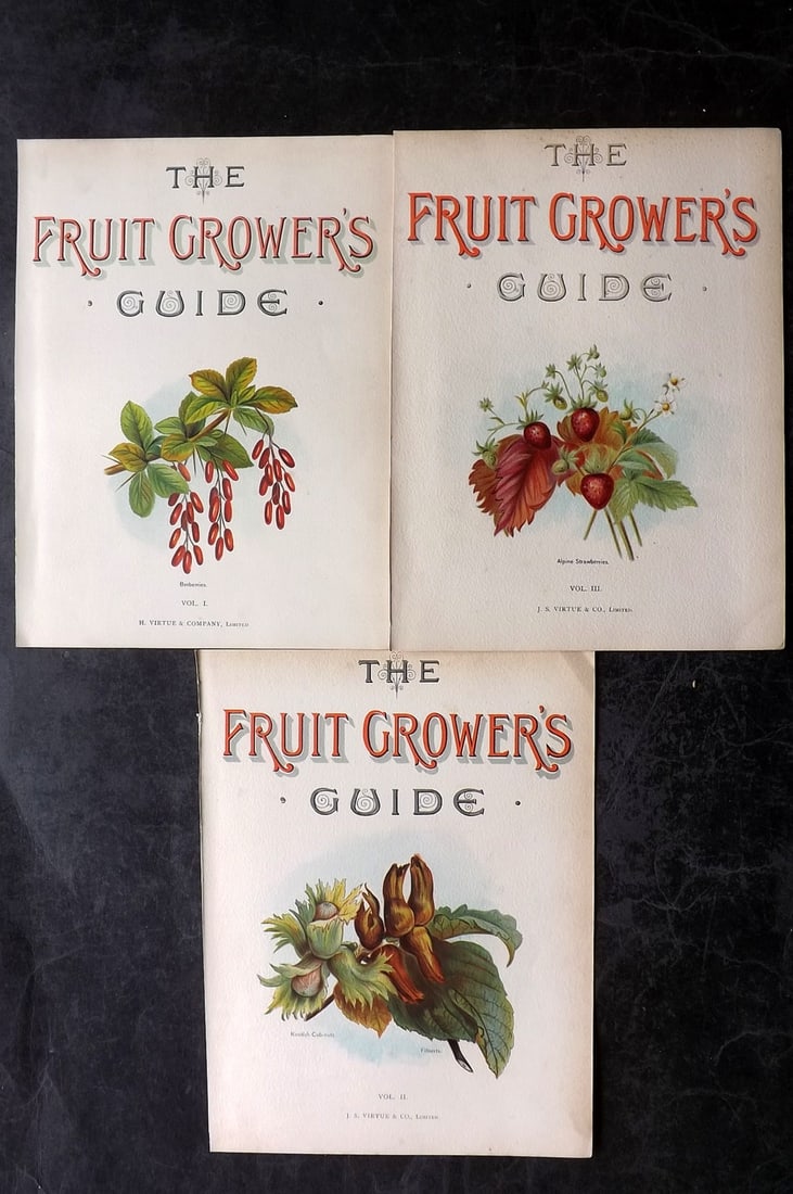 Wright, John 1894 Lot of 3 Fruit Prints. Illus. Title Pages: Chromolithographs Published 1892-4 by J.S. Virtue & Co, London for "The Fruit Growers Guide" First Edition by John Wright. Paper Size: 11 x 8 inch (28 x 21cm) One with minor margin tone mark. Good Con