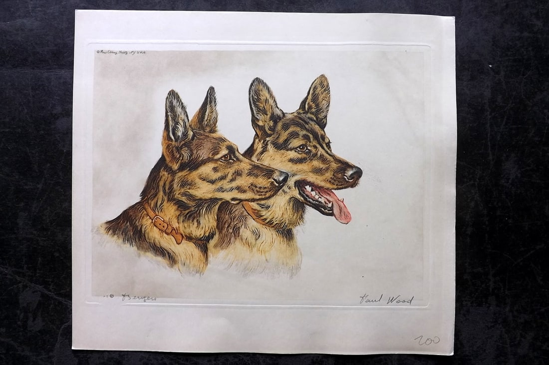 Wood, Paul C1935 Signed Dog Etching. Bergers (1 of 1)
