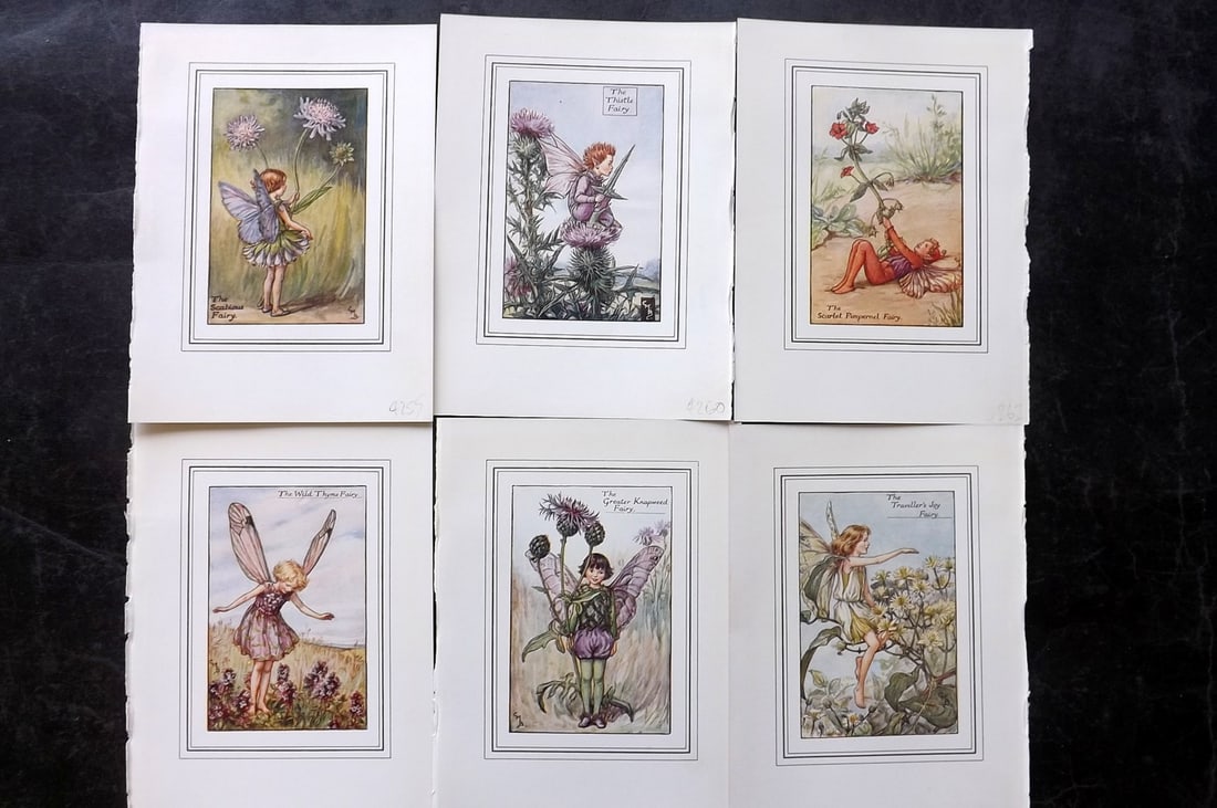 Barker, Cicely Mary C1940 Lot of 6 Flower-Fairy Prints: Lithographs Published C1935-45 by Blackie & Son, London & Glasgow for the "Flower-Fairies" Series by Cicely Mary Barker. Slightly Larger images/paper than usual from "The Book of the Flower Fairies" R