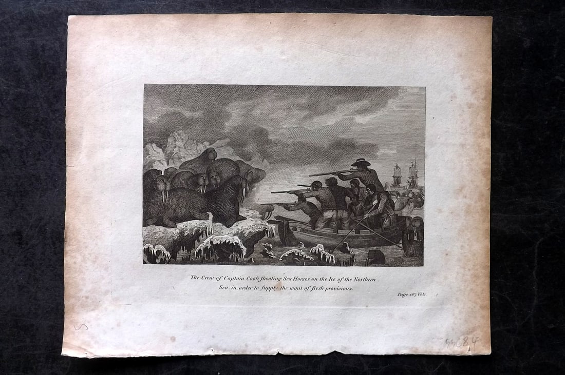Cooke, George 1801 Print. Crew of Capt. Cook shooting Sea Horses, Northern Sea: Copper Plate Published 1801-07 by Macdonald & Son, London for "Modern and Authentic System of Universal Geography" By George A. Cooke. Paper Size: 10 x 8 inch (26 x 21cm) Minor toning, otherwise Good 