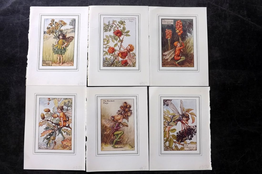 Barker, Cicely Mary C1940 Lot of 6 Flower-Fairy Prints: Lithographs Published C1935-45 by Blackie & Son, London & Glasgow for the "Flower-Fairies" Series by Cicely Mary Barker. Slightly Larger images/paper than usual from "The Book of the Flower Fairies" R