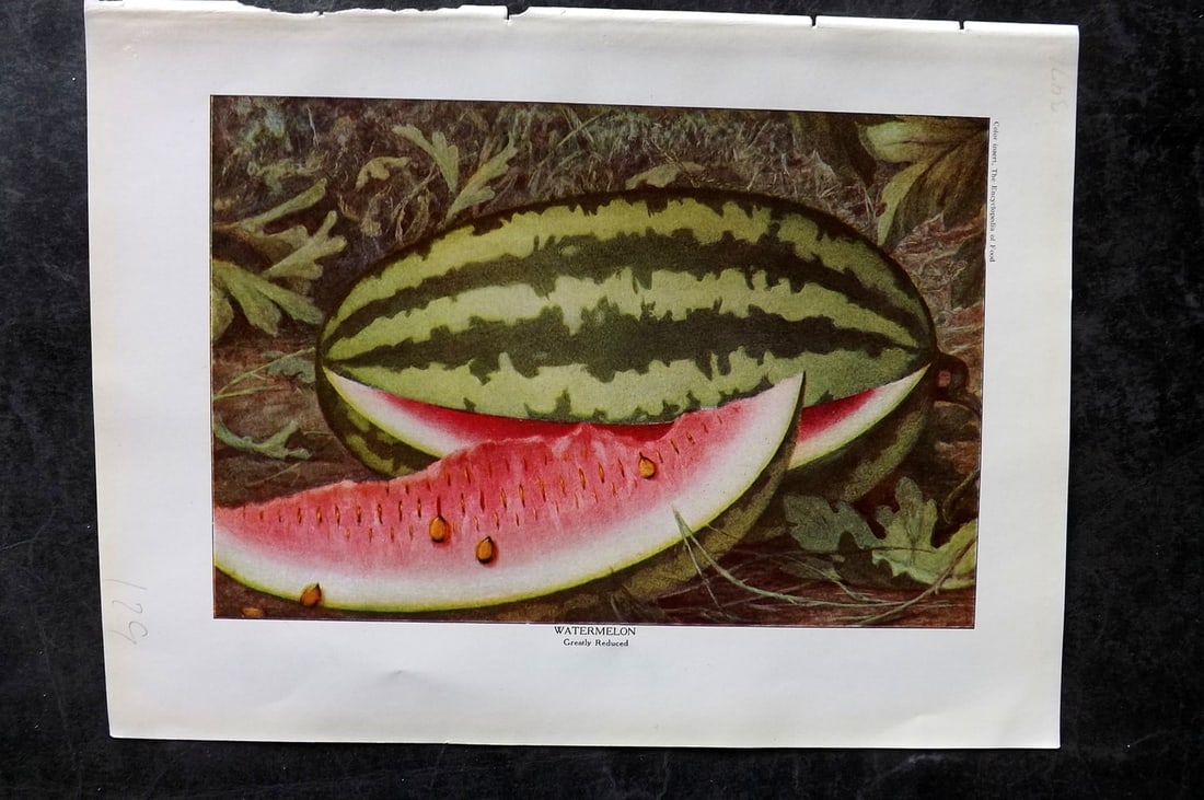 Ward, Artemas 1923 Antique Fruit Print. Watermelon: Offset Lithograph Published 1923, New York for "The Encyclopedia of Food" by Artemas Ward. Paper Size: 10.5 x 7.5 inch (27 x 19cm) Good Condition