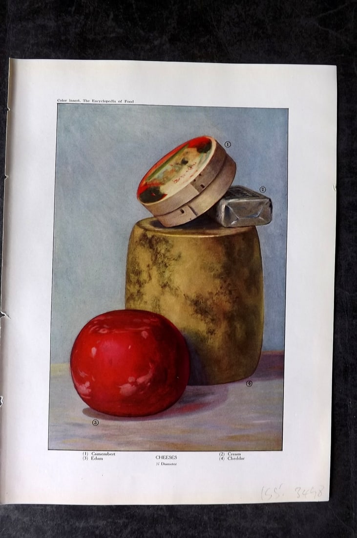 Ward, Artemas 1923 Antique Food Print. Cheese - Camembert, Edam, Cream, Cheddar: Offset Lithograph Published 1923, New York for "The Encyclopedia of Food" by Artemas Ward. Paper Size: 10.5 x 7.5 inch (27 x 19cm) Good Condition