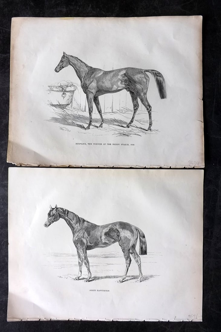 Lawrence, Richard C1850 Pair of Antique Horse Prints: Wood Engraving (Reverse side blank) Published C1850, London for "The Complete Farrier and British Sportsman" by Richard Lawrence. Paper Size: 10.5 x 8 inch (27 x 21cm) Very minor margin toning. Good C