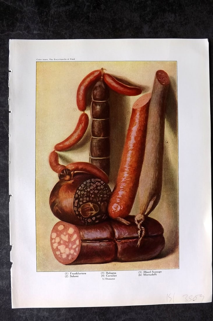 Ward, Artemas 1923 Antique Food Print. Frankfurter, Salami, Bologna, Blood Sausage: Offset Lithograph Published 1923, New York for "The Encyclopedia of Food" by Artemas Ward. Paper Size: 10.5 x 7.5 inch (27 x 19cm) Good Condition