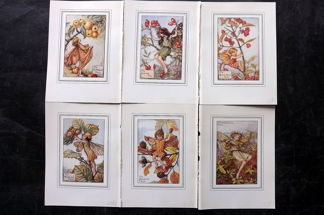 Barker, Cicely Mary C1940 Lot of 6 Flower-Fairy Prints: Lithographs Published C1935-45 by Blackie & Son, London & Glasgow for the "Flower-Fairies" Series by Cicely Mary Barker. Slightly Larger images/paper than usual from "The Book of the Flower Fairies" R