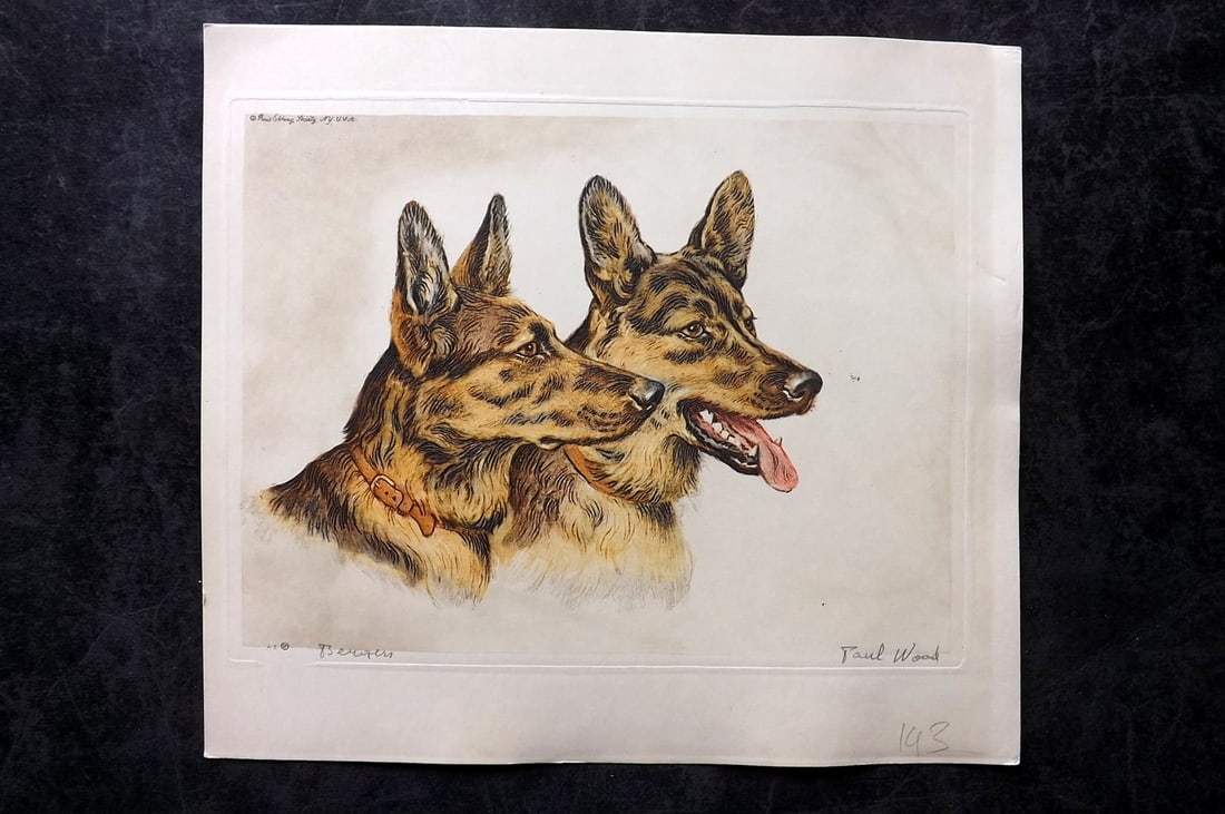 Wood, Paul C1935 Signed Dog Etching. Bergers (1 of 1)