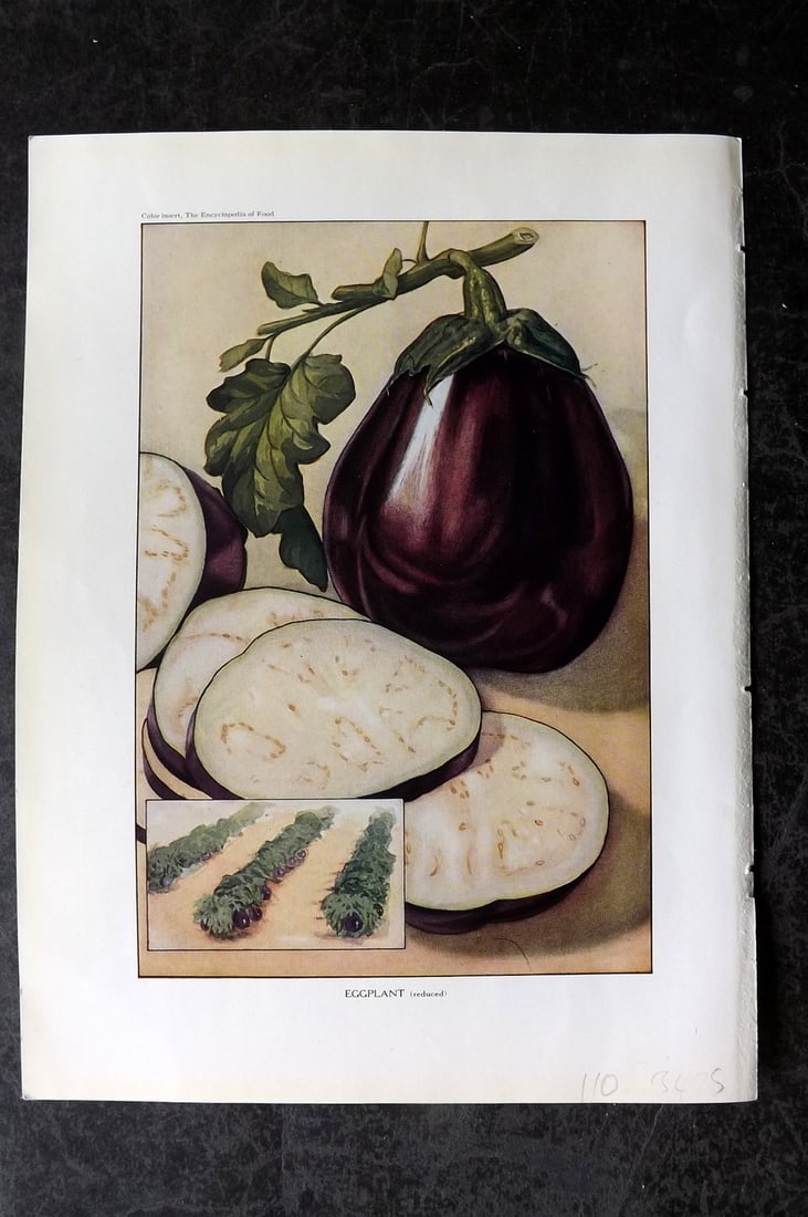 Ward, Artemas 1923 Antique Vegetable Print. Eggplant: Offset Lithograph Published 1923, New York for "The Encyclopedia of Food" by Artemas Ward. Paper Size: 10.5 x 7.5 inch (27 x 19cm) Good Condition