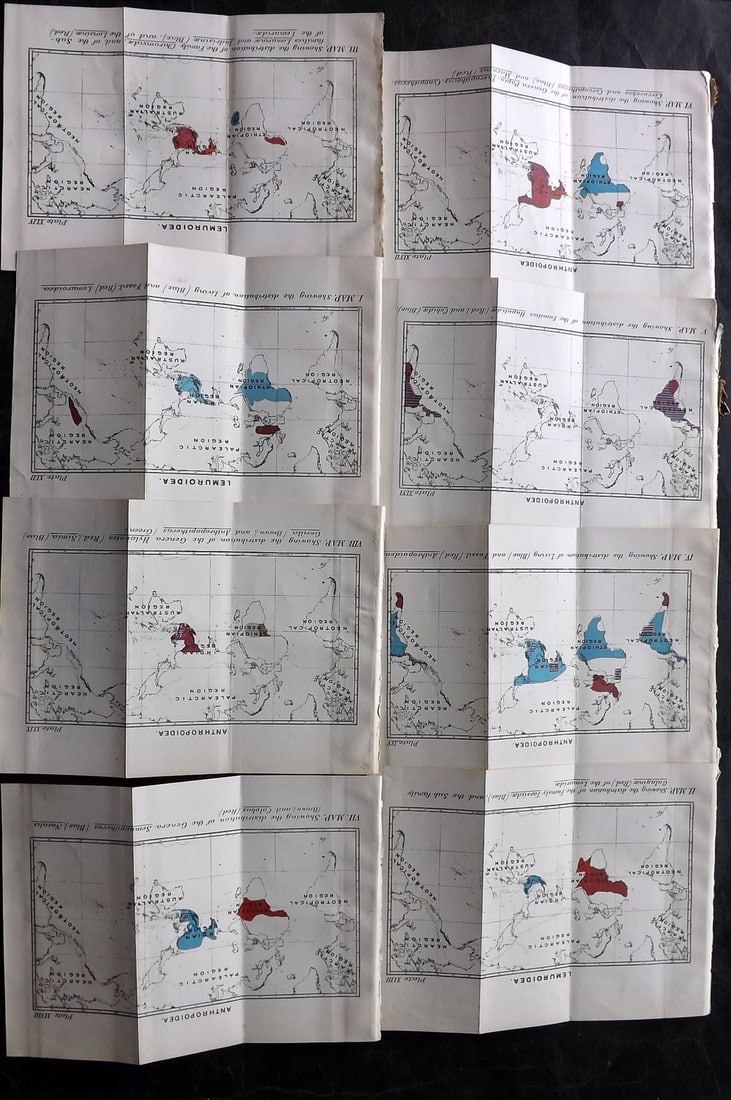 Lloyds's 1897 Lot of 8 Natural History Maps. Distribution of Primates: Chromolithograph Maps Published 1894-97, London for "Lloyds's Natural History..." Edited by R. Bowdler Sharpe, W. F. Kirby, H. O. Forbes, R. Lydekker, and W. R. Olive-Grant. Illustrated after Keuleman