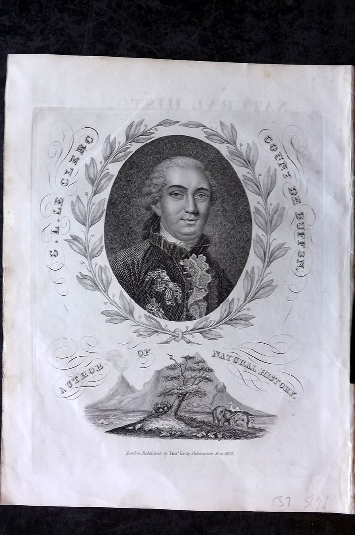 Buffon & Smellie 1834 Antique Portrait Print of the Comte de Buffon: Copper Plate Published 1834 by Thomas Kelly, London for "A Natural History, General and Particular..." by The Comte de Buffon and William Smellie. Paper Size: 10.5 x 8 inch (27 x 21cm) Minor text offs