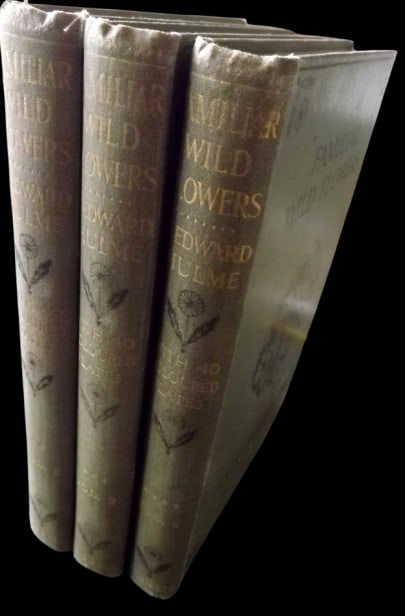 Hulme, F. Edward - Familiar Wild Flowers, Vols 2-4, 120 Plates, C1900 (1 of 7)