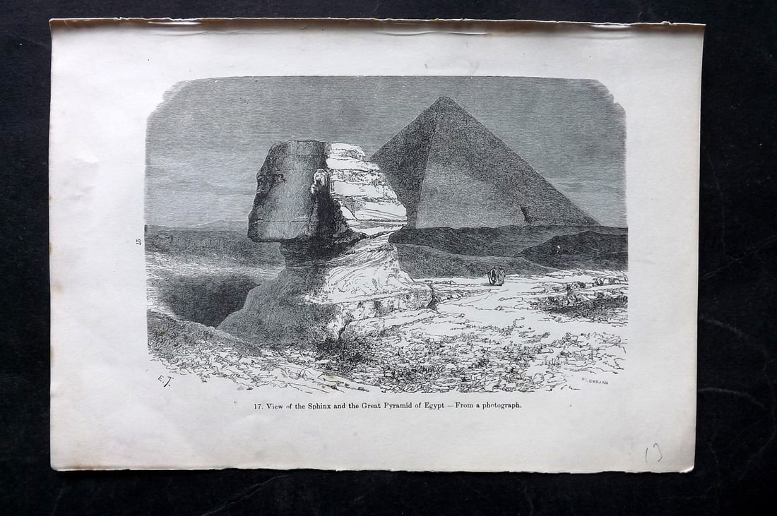 Pouchet, F. A. C1880 Antique Print. Sphinx, Egypt (1 of 1)