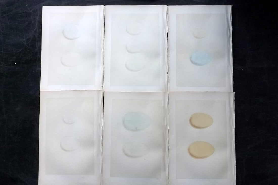 Morris, Francis 1870 Lot of 6 Antique Bird Egg Prints: Woodblocks Published 1870, London for "A Natural History of the Nests and Eggs of British Birds" By the Rev. Francis Orpen Morris, printed Benjamin Fawcett. With accompanying descriptive text. Paper S