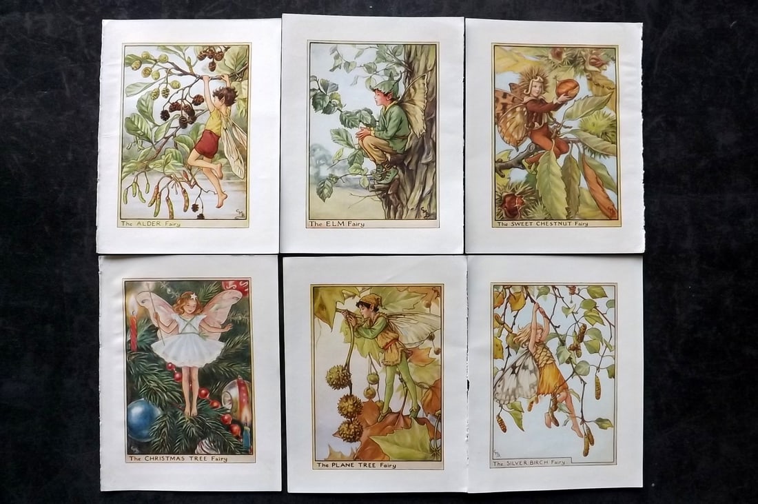 Barker, Cicely Mary C1940 Lot of 6 Flower-Fairy Prints - Tree: Tree Fairies. Lithographs Published C1935-45 by Blackie & Son, London & Glasgow for the "Flower-Fairies" Series by Cicely Mary Barker. Reverse side blank. Paper Size: 5.5 x 4 inch (14 x 10cm) Good Con