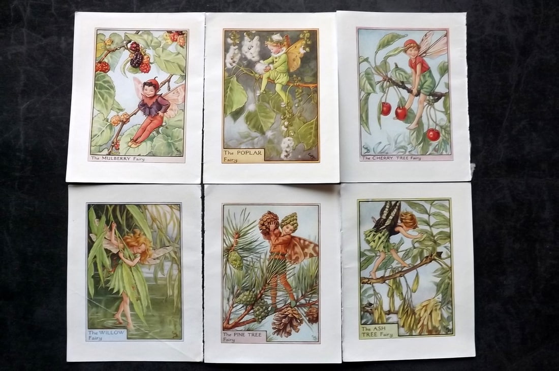 Barker, Cicely Mary C1940 Lot of 6 Flower-Fairy Prints - Tree: Tree Fairies. Lithographs Published C1935-45 by Blackie & Son, London & Glasgow for the "Flower-Fairies" Series by Cicely Mary Barker. Reverse side blank. Paper Size: 5.5 x 4 inch (14 x 10cm) Good Con