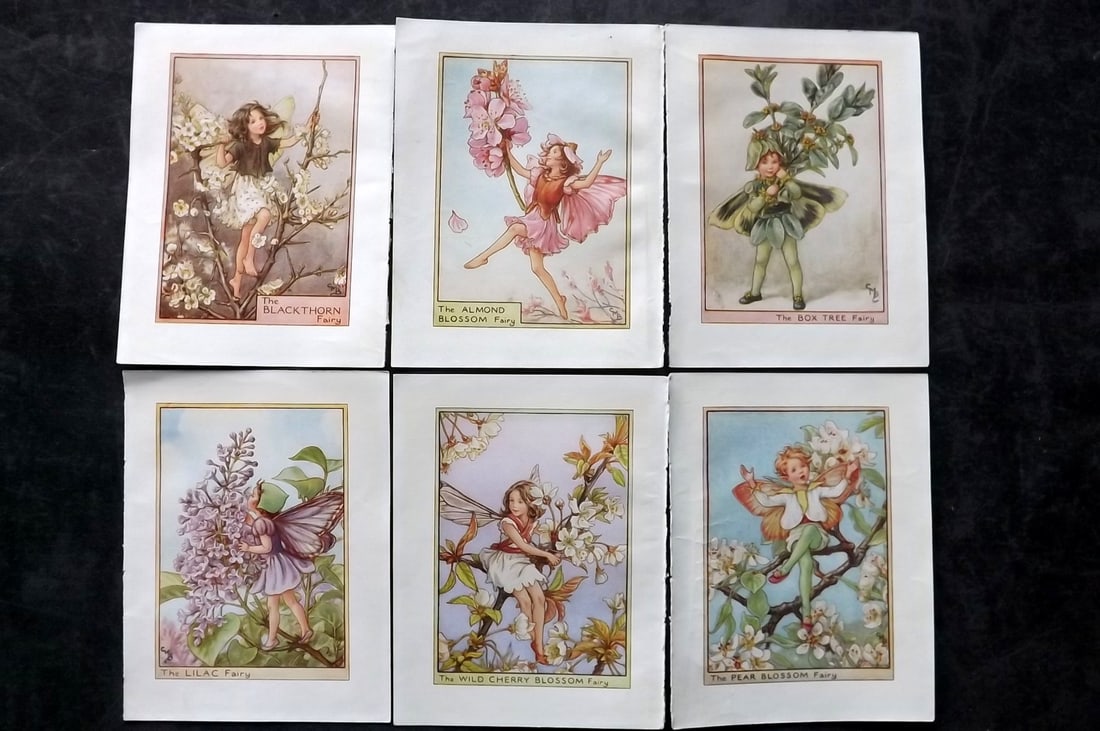 Barker, Cicely Mary C1940 Lot of 6 Flower-Fairy Prints - Tree: Tree Fairies. Lithographs Published C1935-45 by Blackie & Son, London & Glasgow for the "Flower-Fairies" Series by Cicely Mary Barker. Reverse side blank. Paper Size: 5.5 x 4 inch (14 x 10cm) Good Con