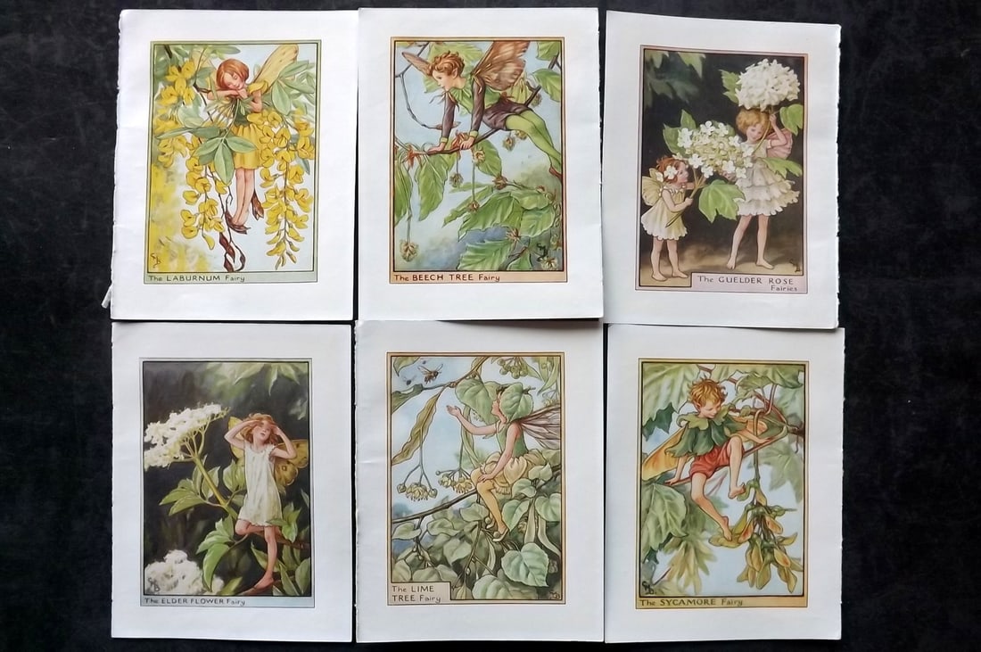 Barker, Cicely Mary C1940 Lot of 6 Flower-Fairy Prints - Tree: Tree Fairies. Lithographs Published C1935-45 by Blackie & Son, London & Glasgow for the "Flower-Fairies" Series by Cicely Mary Barker. Reverse side blank. Paper Size: 5.5 x 4 inch (14 x 10cm) Good Con