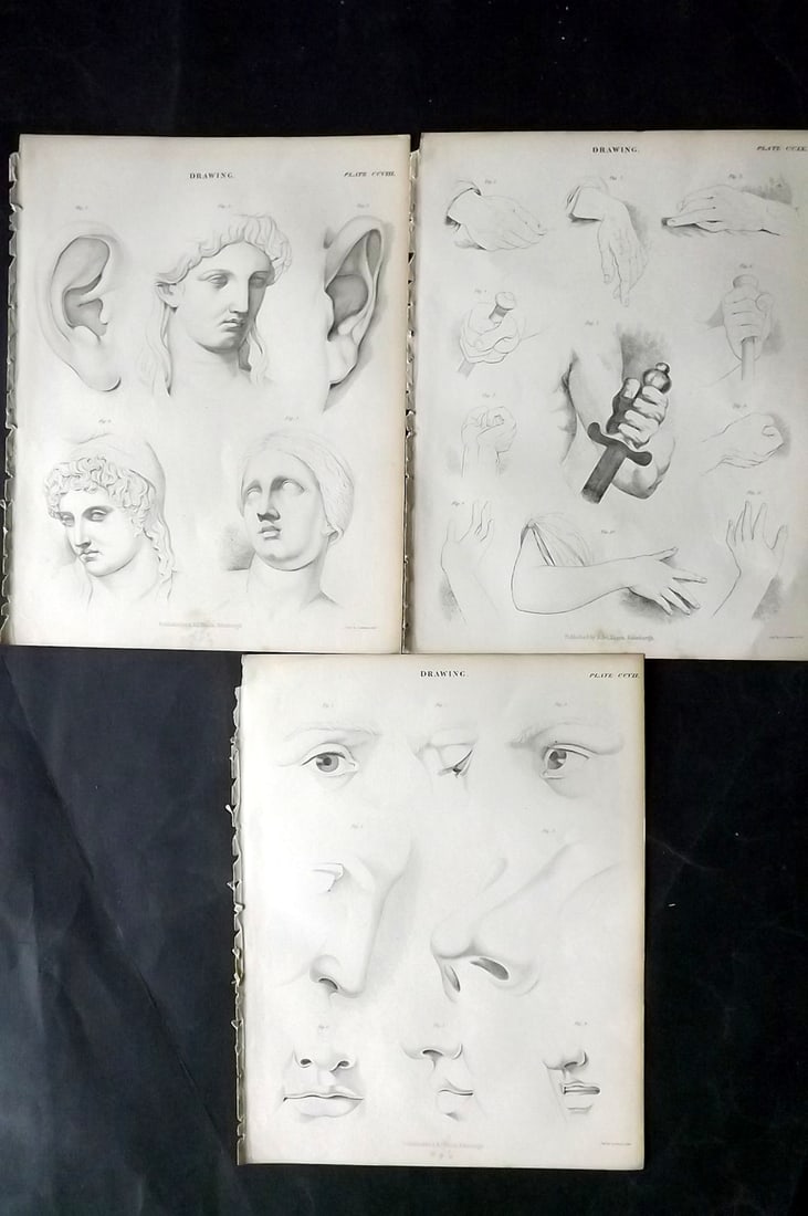 Encyclo. Brit 1850's Lot of 3 Prints. Drawing - Figure Studies (1 of 2)