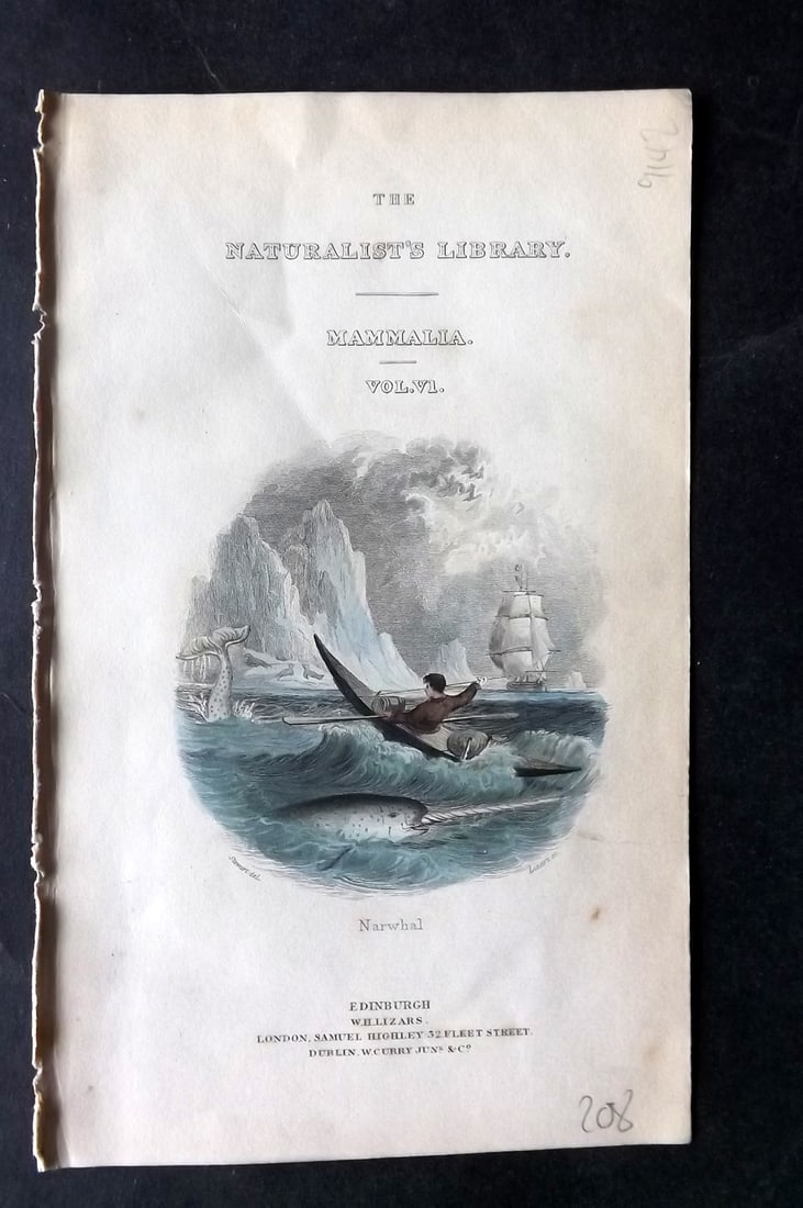 Jardine, William C1840 Hand Col Print. Narwhal, Illus. Title Page: Hand Colored Steel Engraving/Etching Published 1833-43 by W.H.Lizars, Edinburgh for "The Naturalist's Library" by Sir William Jardine. Paper Size: 6.5 x 4.25 inch (16.5 x 11cm) Good Condition