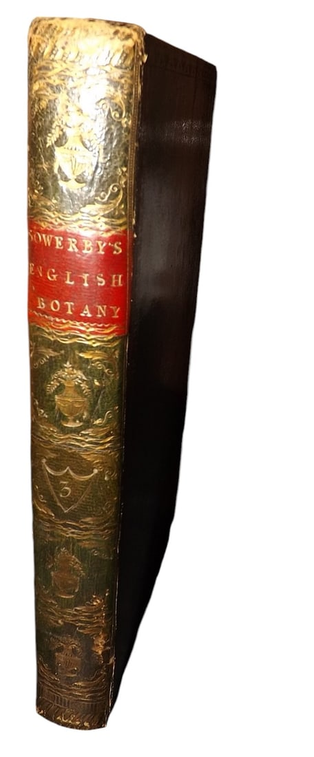 Sowerby, James - English Botany Vol 3, 72 Hand Col Plates, Fine Binding, 1794, 1st Ed. (1 of 11)
