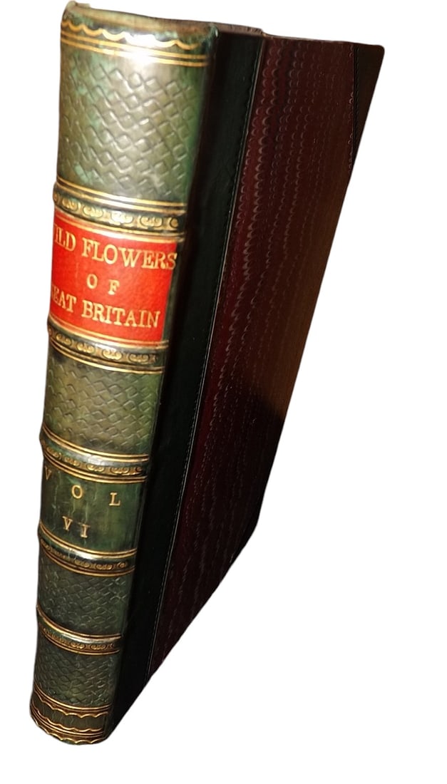 Hogg, Robert & Johnson, George - Wild Flowers, Vol 6, 75 HCol Plates, 1871: "The Wild Flowers of Great Britain" by Robert Hogg & George W. Johnson. Vol 6 only. London: Journal of Horticulture & Cottage Gardener, 1863-64. 8vo (215 x 140mm) Complete with 75 Hand Colored Plates.