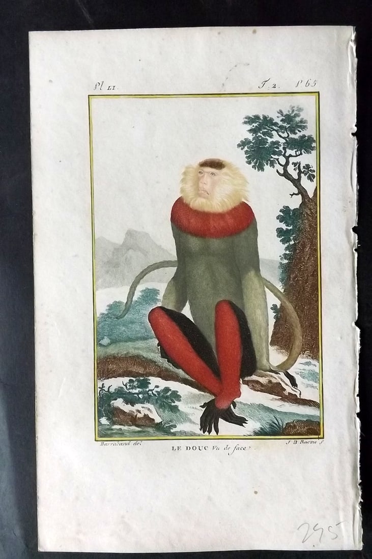 Latreille, Pierre-Andre 1800 Hand Col Monkey Print. Le Douc 51 (1 of 1)