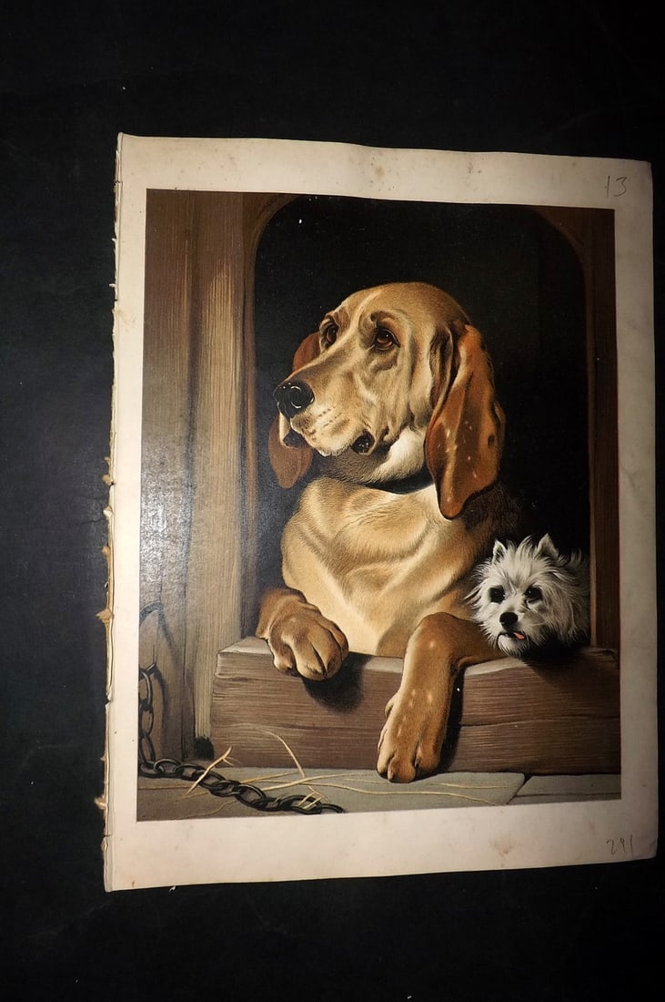Petland & Landseer C1890 Scarce Antique Dog Print (1 of 2)