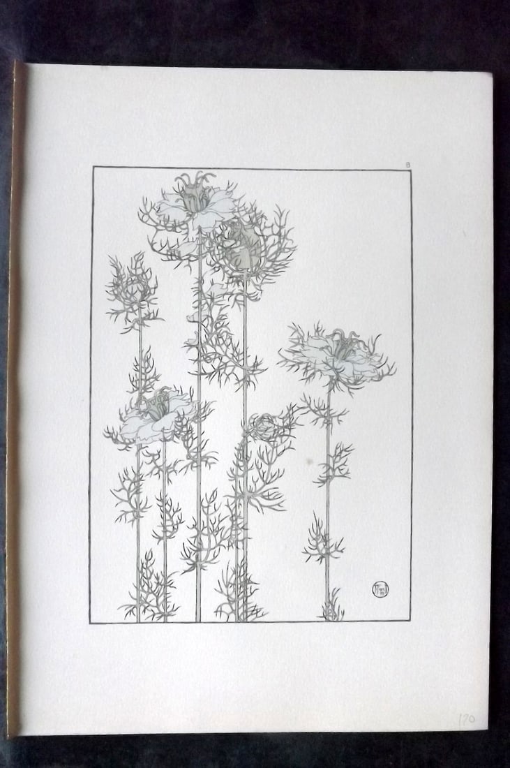 Foord, Jeannie 1901 Folio Art Nouveau Pochoir. Love in a Mist 08 (1 of 2)