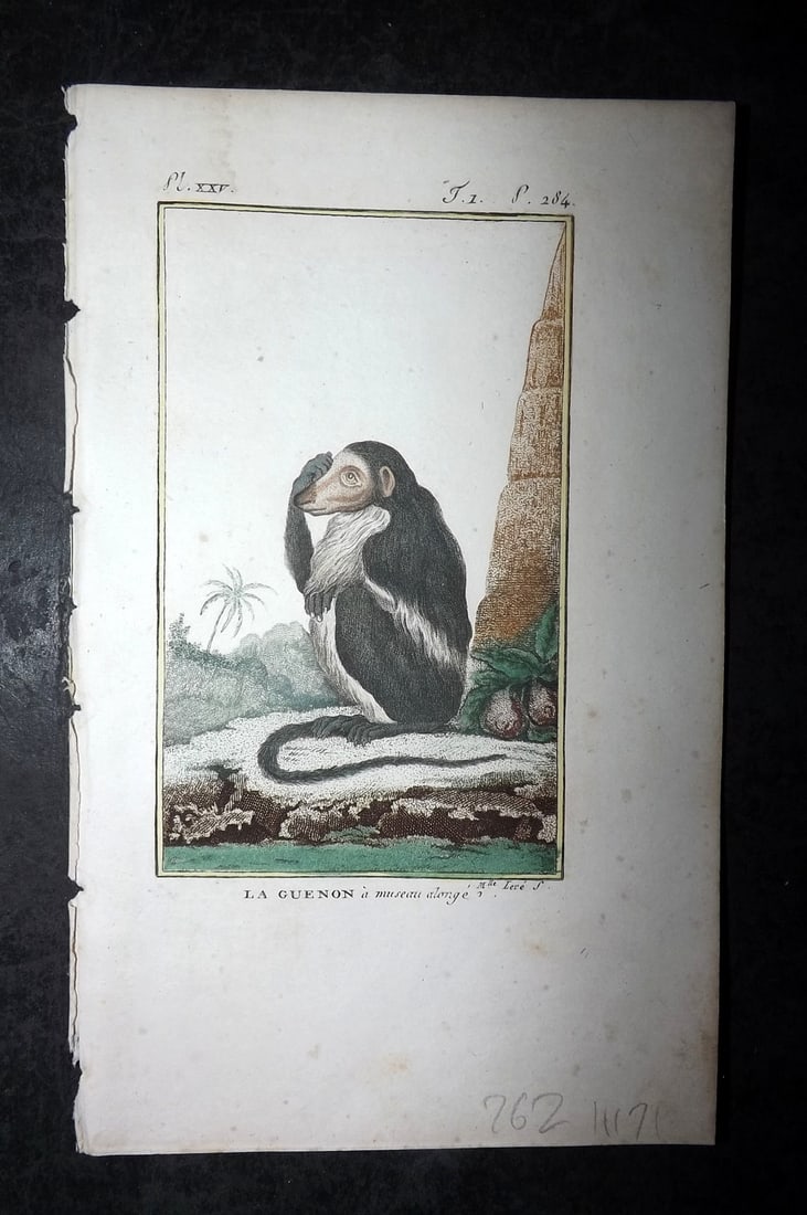 Latreille, Pierre-Andre 1800 Hand Col Monkey Print. La Guenon 25 (1 of 1)