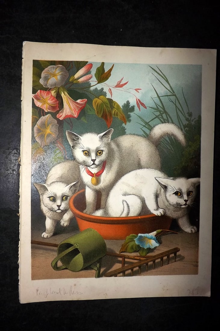 Petland C1890 Scarce Antique Cat Print. Frightened & Merry Kittens (1 of 2)