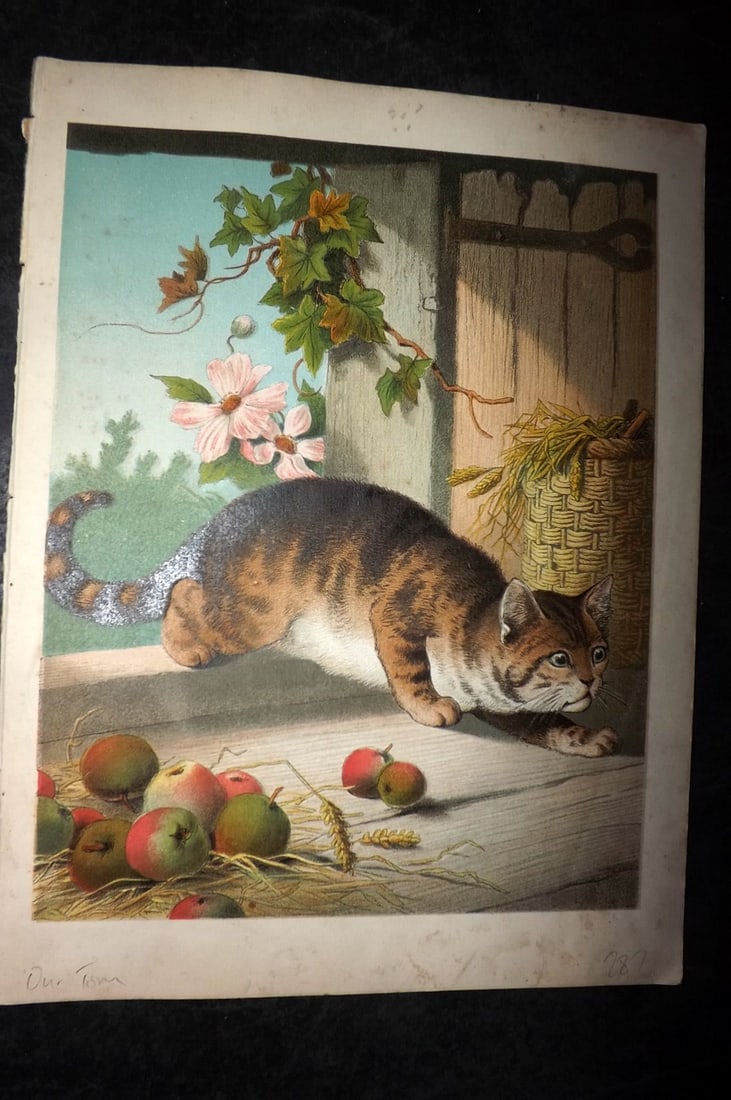 Petland C1890 Scarce Antique Dog & Cat Print. Our Tom & Clever Dash (1 of 2)