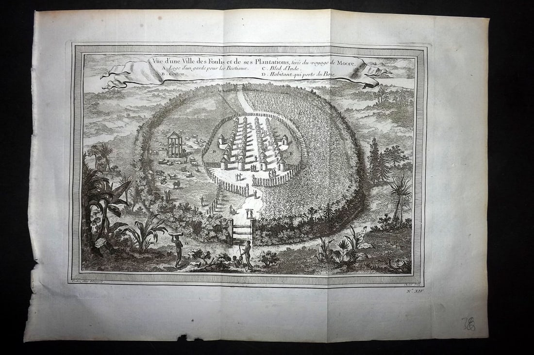 Prevost, Antoine C1760 Folio Print. Fuli Plantation, Senegal (1 of 1)