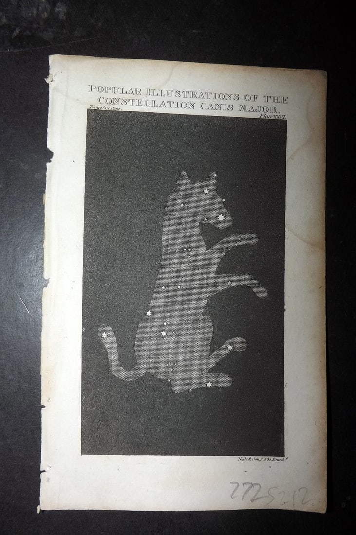 Squire 1820 Astronomy Print. Illustrations of the Constellation Canis Major (1 of 1)