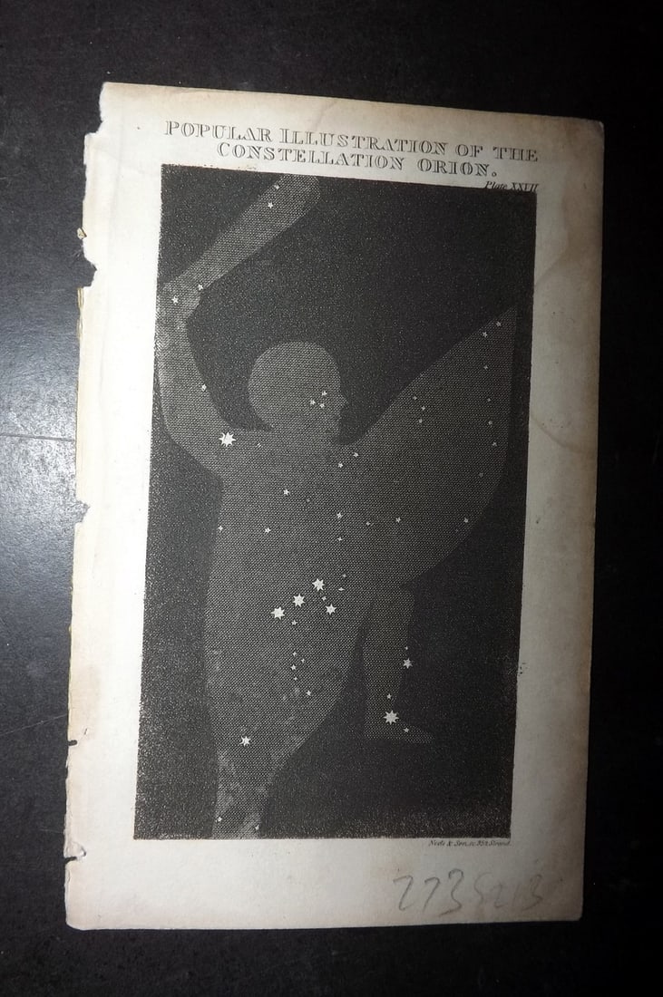Squire 1820 Astronomy Print. Illustrations of the Constellation Orion (1 of 1)