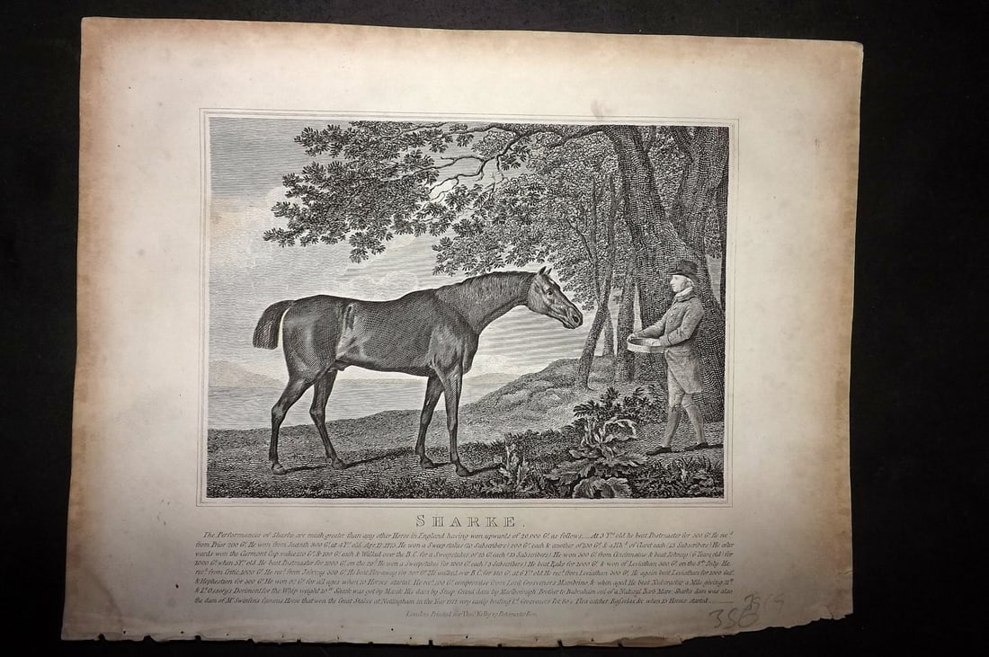 Lawrence, Richard C1850 Antique Horse Print. Sharke: Copper Plate Published C1850, London for "The Complete Farrier and British Sportsman" by Richard Lawrence. Paper Size: 10.5 x 8 inch (27 x 21cm) Very minor margin toning. Good Condition