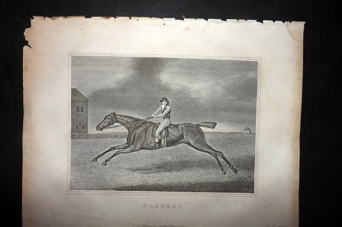 Lawrence, Richard C1850 Antique Horse Print. Baronet: Copper Plate Published C1850, London for "The Complete Farrier and British Sportsman" by Richard Lawrence. Paper Size: 10.5 x 8 inch (27 x 21cm) Very minor margin toning. Minor chipping to margin, Goo