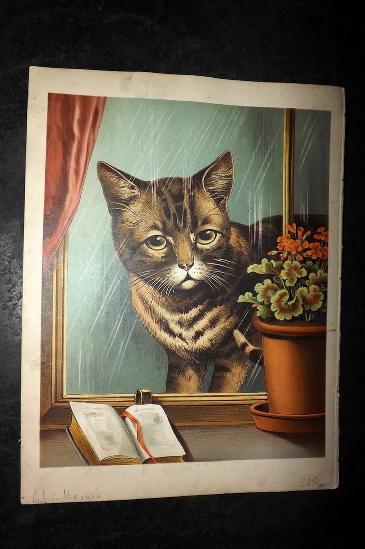 Petland C1890 Scarce Antique Cat Print. Out in the Rain & Lady Betties Babies (1 of 2)