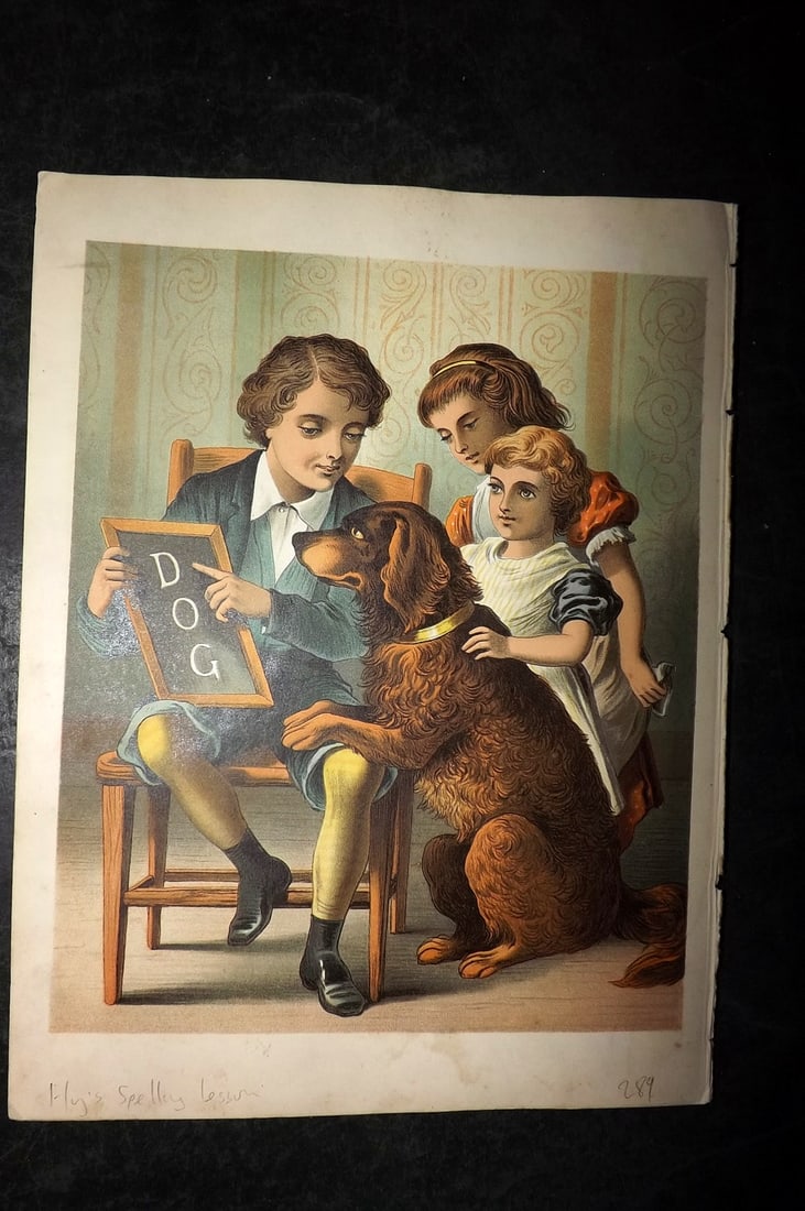 Petland C1890 Scarce Antique Dog Print. Fly's Spelling Lesson & Scamp's New Friend (1 of 2)
