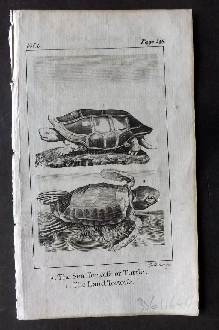 Goldsmith, Oliver 1791 Antique Print. Sea Tortoise or Turtle, Land Tortoise (1 of 1)
