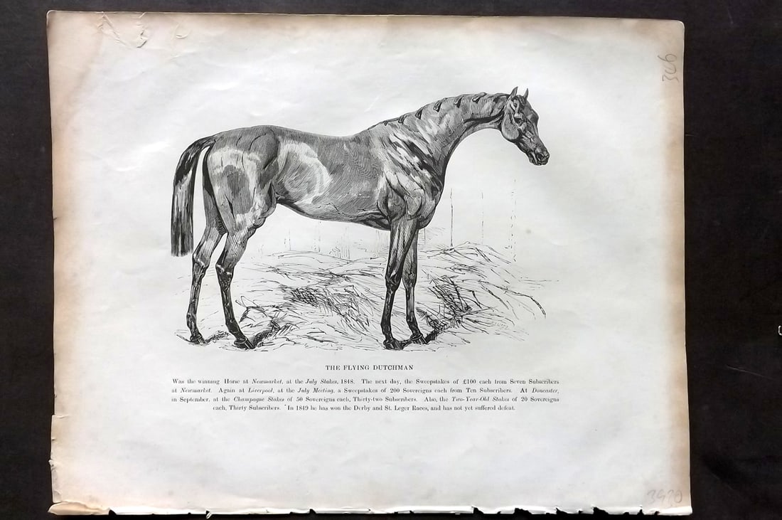 Lawrence, Richard C1850 Antique Horse Print. The Flying Dutchman: Wood Engraving (Reverse Side Blank) Published C1850, London for "The Complete Farrier and British Sportsman" by Richard Lawrence. Paper Size: 10.5 x 8 inch (27 x 21cm) Minor margin toning. Good Condit