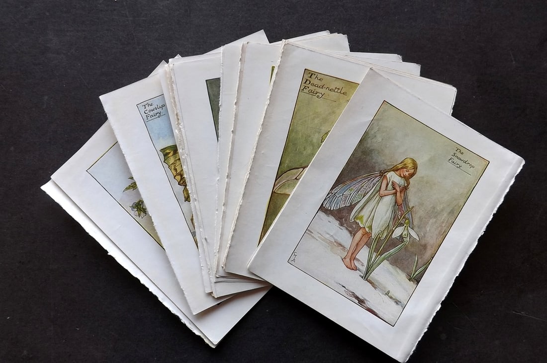 Barker, Cicely Mary C1940 Lot of 24 Flower-Fairy Prints - Spring: Spring Fairies. Lithographs Published C1935-45 by Blackie & Son, London & Glasgow for the "Flower-Fairies" Series by Cicely Mary Barker. Reverse side blank. Paper Size: 5.5 x 4 inch (14 x 10cm) Good C