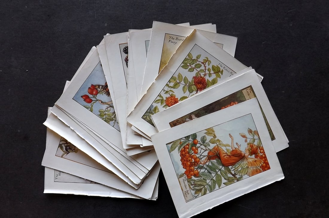Barker, Cicely Mary C1940 Lot of 24 Flower-Fairy Prints - Autumn: Autumn Fairies. Lithographs Published C1935-45 by Blackie & Son, London & Glasgow for the "Flower-Fairies" Series by Cicely Mary Barker. Reverse side blank. Paper Size: 5.5 x 4 inch (14 x 10cm) Good C