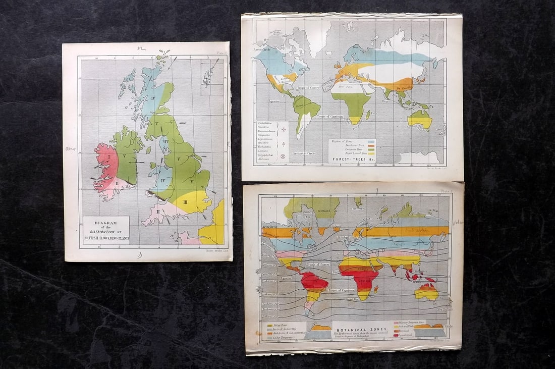 Daubeny, Charles 1855 Lot of 3 Botanical Maps. World & UK (1 of 1)