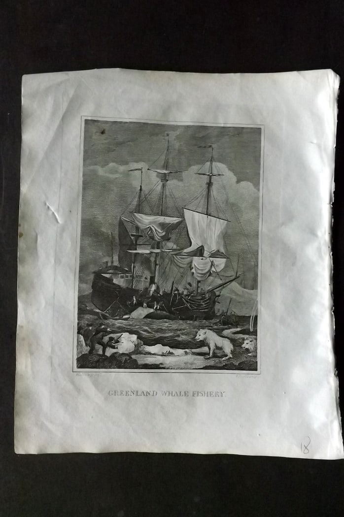 Barclay, James 1812 Antique Print. Greenland Whale Fishery, Ship: Copper Plate Published 1812, London for "A Complete and Universal Dictionary of the English Language..." by the Rev. James Barclay. Paper Size: 10 x 8.5 inch (26 x 22cm) Good Condition