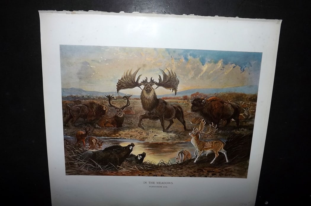 Millais, John 1904 Rare Folio Print. In the Meadows (1 of 1)