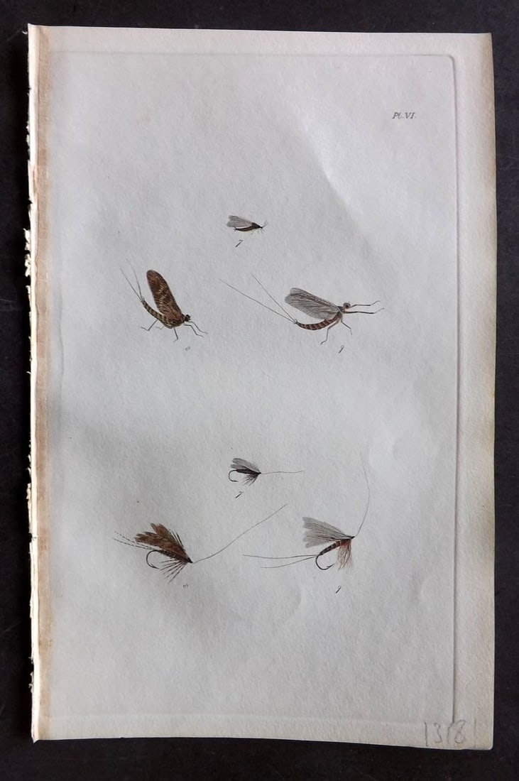 Ronalds, Alfred 1844 Hand Col Print. Fly Fishing Flies Entomology Angling 06: Antique Etching Published 1844, London for "The Fly Fisher's Entomology" by Alfred Ronalds. Fine hand colour as issued. Paper Size: 8.5 x 5.5 inch (22 x 14cm) Good Condition