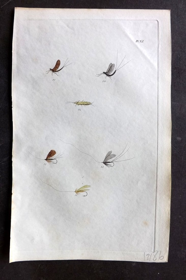 Ronalds, Alfred 1844 Hand Col Print. Fly Fishing Flies Entomology Angling 11: Antique Etching Published 1844, London for "The Fly Fisher's Entomology" by Alfred Ronalds. Fine hand colour as issued. Paper Size: 8.5 x 5.5 inch (22 x 14cm) Good Condition