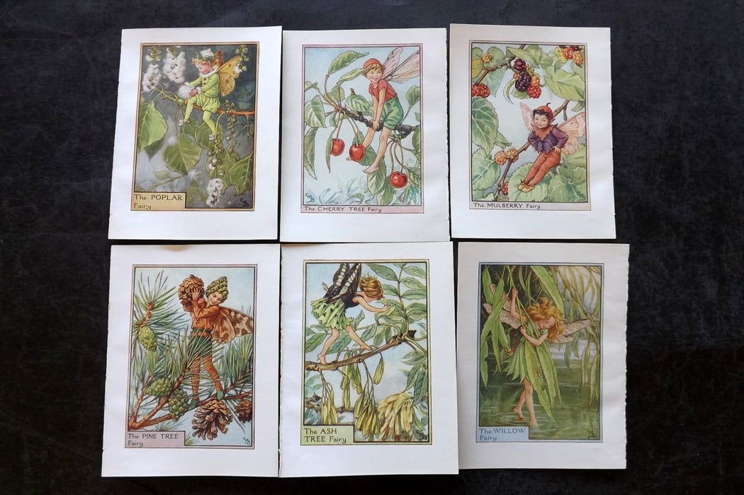 Barker, Cicely Mary C1940 Lot of 6 Flower-Fairy Prints - Tree Fairies: Lithographs Published C1935-45 by Blackie & Son, London & Glasgow for the "Flower-Fairies" Series by Cicely Mary Barker. Reverse side blank. Paper Size: 5.5 x 4 inch (14 x 10cm) Good Condition