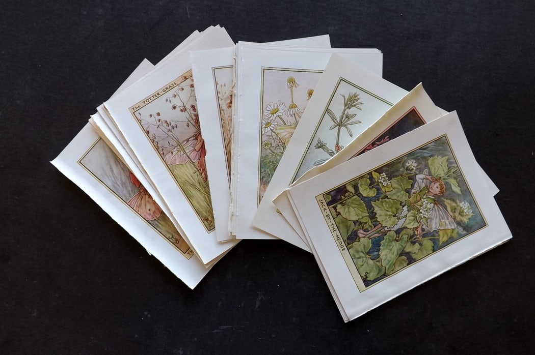Barker, Cicely Mary C1940 Lot of 24 Flower-Fairy Prints - Wayside: Garden Fairies. Lithographs Published C1935-45 by Blackie & Son, London & Glasgow for the "Flower-Fairies" Series by Cicely Mary Barker. Reverse side blank. Paper Size: 5.5 x 4 inch (14 x 10cm) Good C