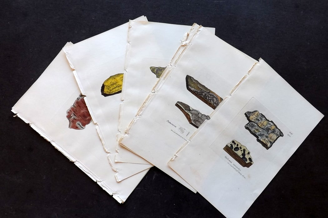 Sowerby, James 1846 Lot of 18 Hand Col Botanical Prints. Lichens (1 of 4)